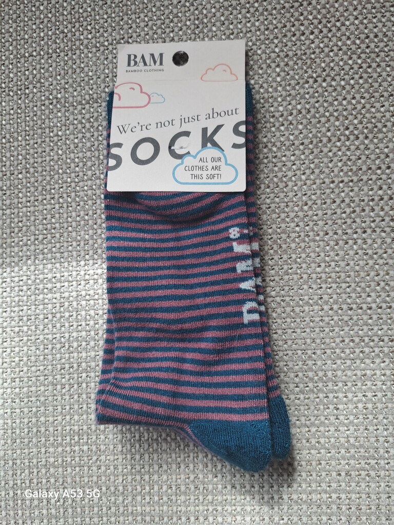 Socks by ludbrook482