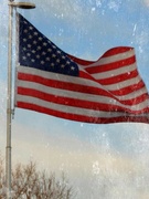 14th Jun 2024 - Today is “Flag Day” in America 