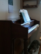 14th Jun 2024 - My New Piano...