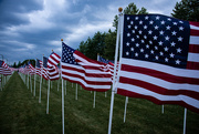 14th Jun 2024 - From our Field of Heroes this last Memorial Day