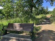 13th Jun 2024 - Memorial Bench 