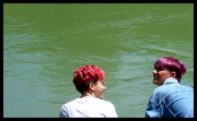 15th Jun 2024 - Redheads