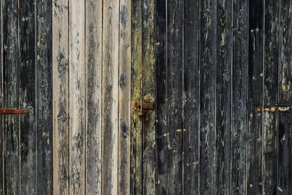 Barn Door by dragey74