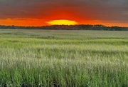 15th Jun 2024 - Marsh sunset