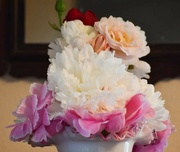 15th Jun 2024 - Peonies And Roses