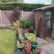 14th Jun 2024 - A beautiful corner of our garden. 