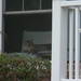 Cat in Neighbor's Window by sfeldphotos