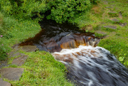 15th Jun 2024 - Stepping Stones