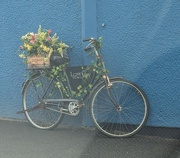 11th Jun 2024 - A gorgeous bike