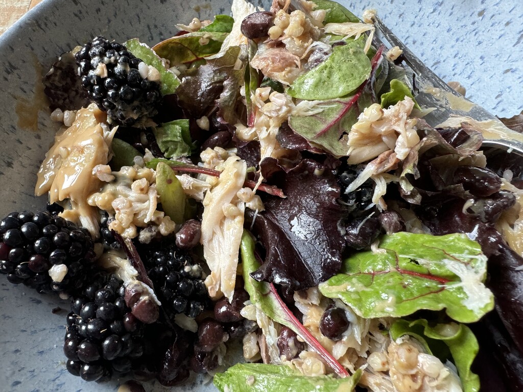 Mackerel + Blackberry Salad by eviehill