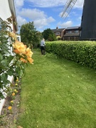 16th Jun 2024 - Hedge Cutting Record