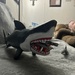 The Shark won! by bellasmom