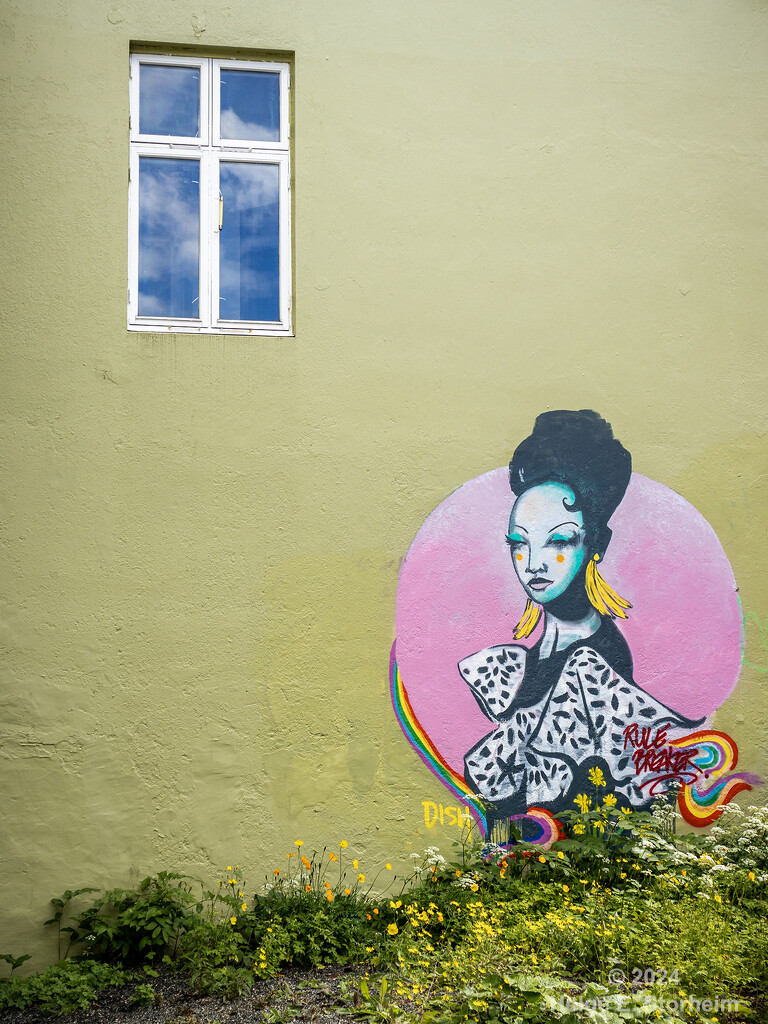 Bergen street art by helstor365