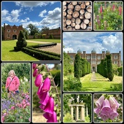 16th Jun 2024 - Doddington Hall Gardens