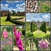 Doddington Hall Gardens
