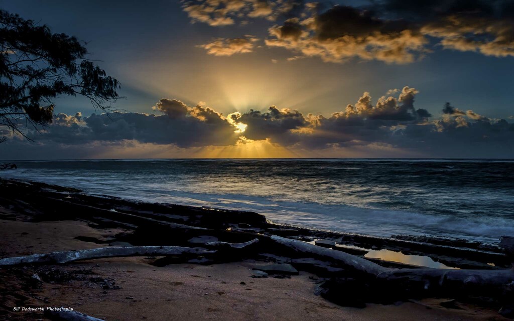 Kauai Morning by photographycrazy