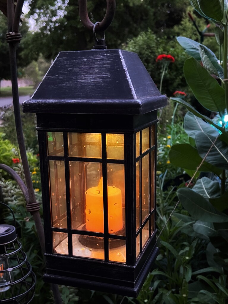 garden lantern by amyk