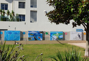 17th Jun 2024 - Teramby Court Murals