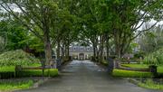 16th Jun 2024 - Entrance Drive