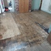 Varnished the floorboards in the workshop area of the shop  by samcat