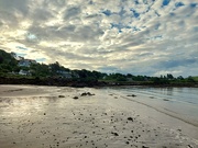 17th Jun 2024 - Rockcliffe 