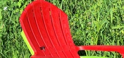 16th Jun 2024 - Red Chair with Dragonfly