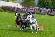 17th Jun 2024 - Scurry Driving