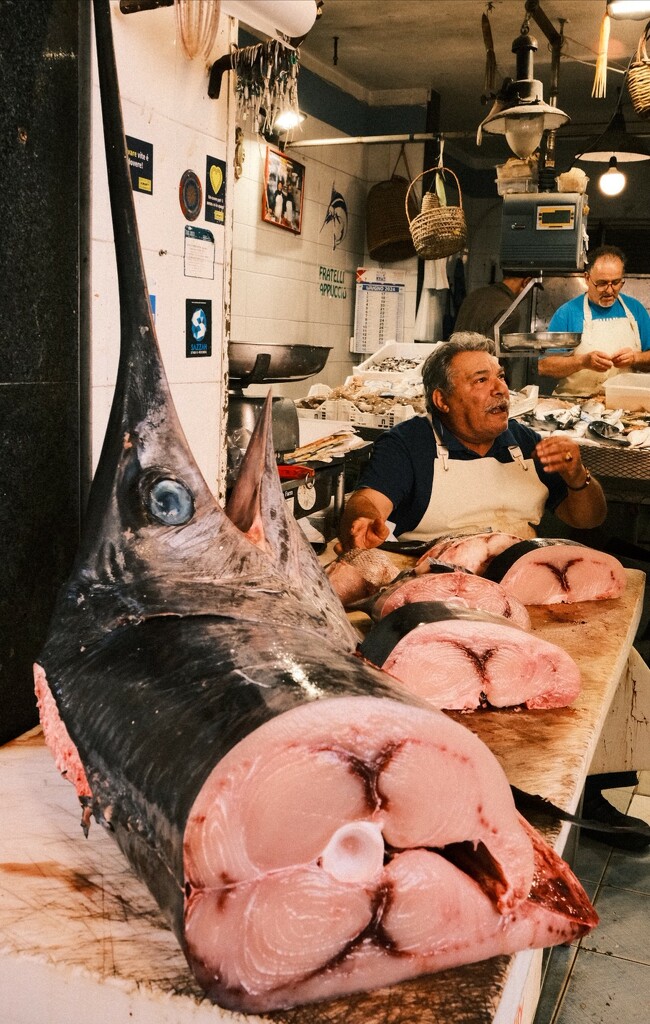 Swordfish market by stefanotrezzi