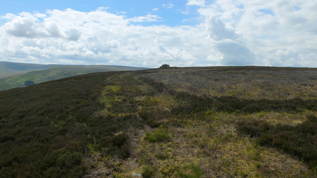 240617 puddingthorn cairn by minsky365