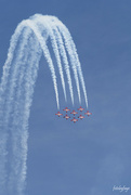 17th Jun 2024 - SNOWBIRDS