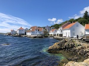 14th Jun 2024 - Loshavn, Norway