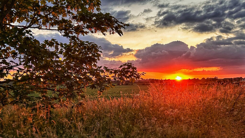 Lincolnshire Sunset by carole_sandford