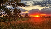 17th Jun 2024 - Lincolnshire Sunset