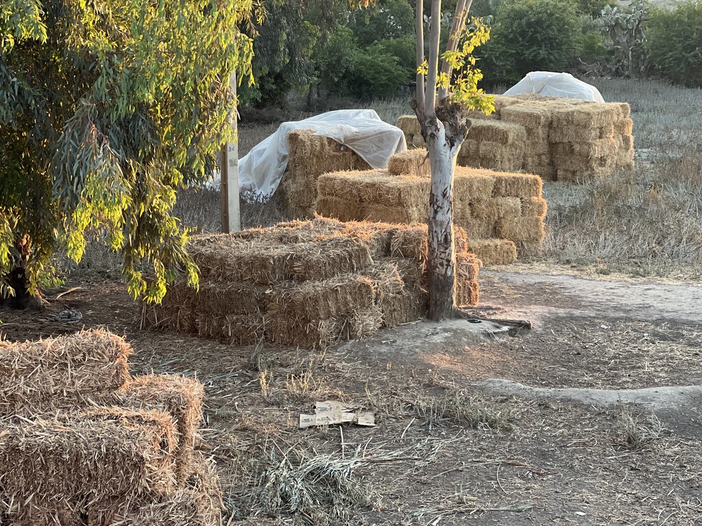 Bales of hay by cadu