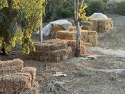 17th Jun 2024 - Bales of hay