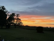 17th Jun 2024 - 8:48 PM. Sunset over the cornfield.