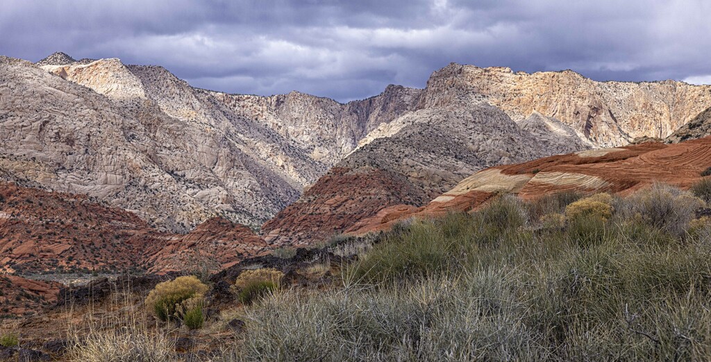 Snow Canyon  by robertallanbear