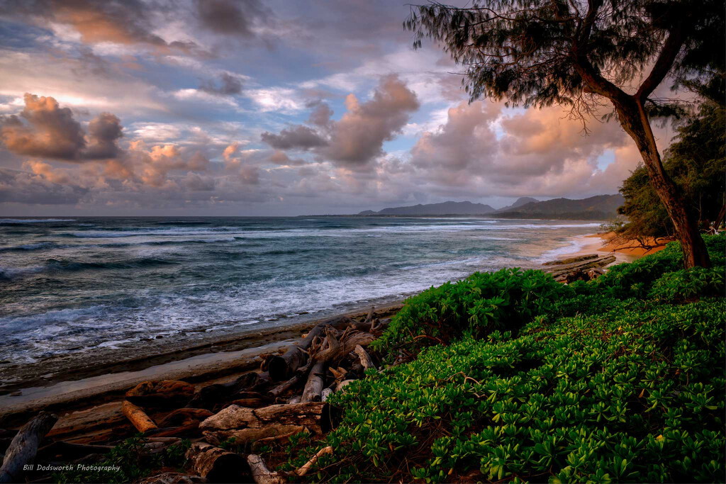 Early morning light on Kauai by photographycrazy