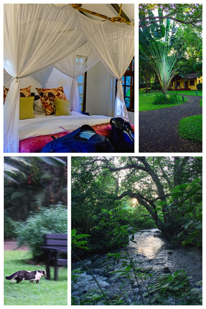 We have arrived! - Rivertrees county Inn, Arusha by 365projectorgchristine