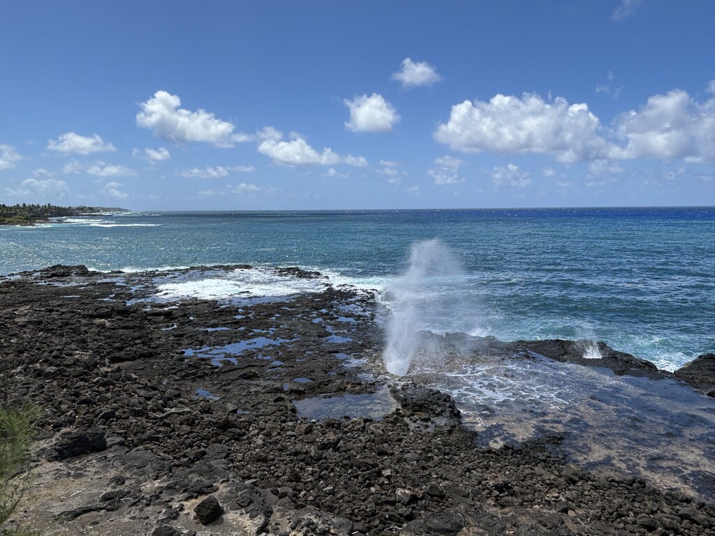 Spouting horn  by pirish