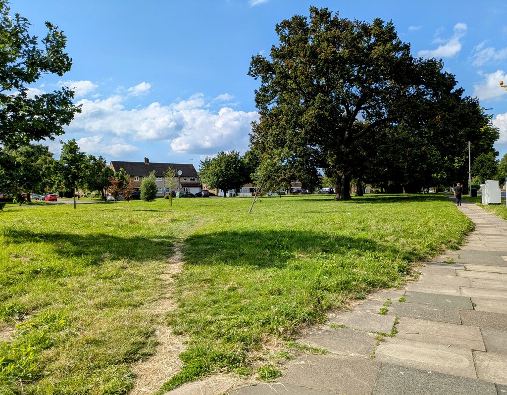 Desire path  by boxplayer