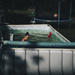 Pool Season by aydyn