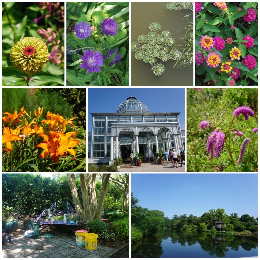 Lewis Ginter Highlights by allie912