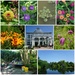 Lewis Ginter Highlights