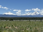 18th Jun 2024 - Central Oregon Cascades