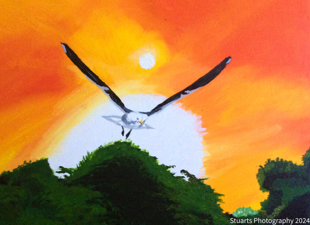 Seagull in flight (painting) by stuart46