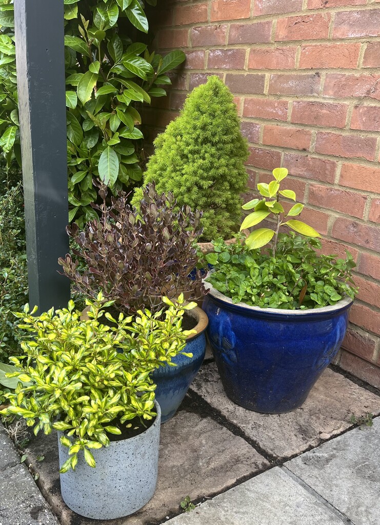 Potting Day by elainepenney