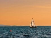 18th Jun 2024 - Sailboat