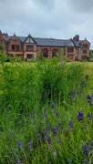 18th Jun 2024 - Ordsall Hall, Salford