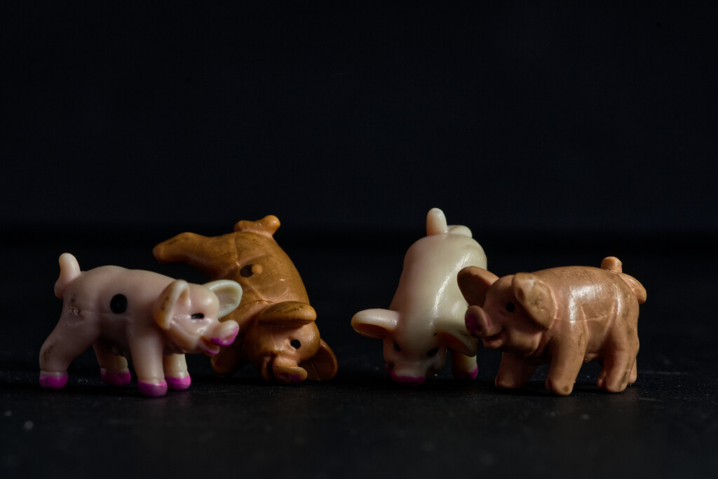 Pass the Pigs/Pigmania Pieces by thedarkroom